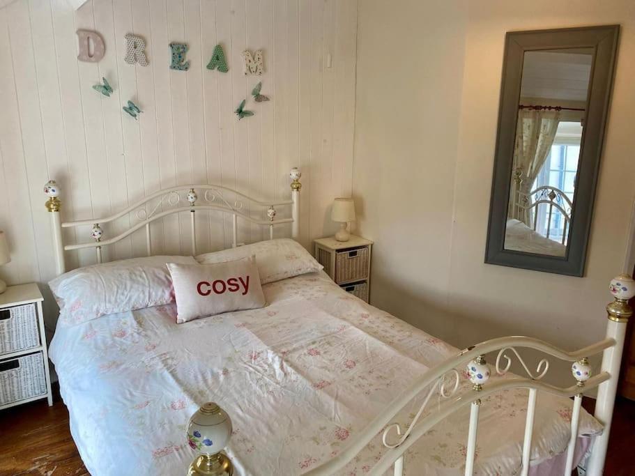 Snowdrop Stone Detached Cottage Talysarn المظهر الخارجي الصورة