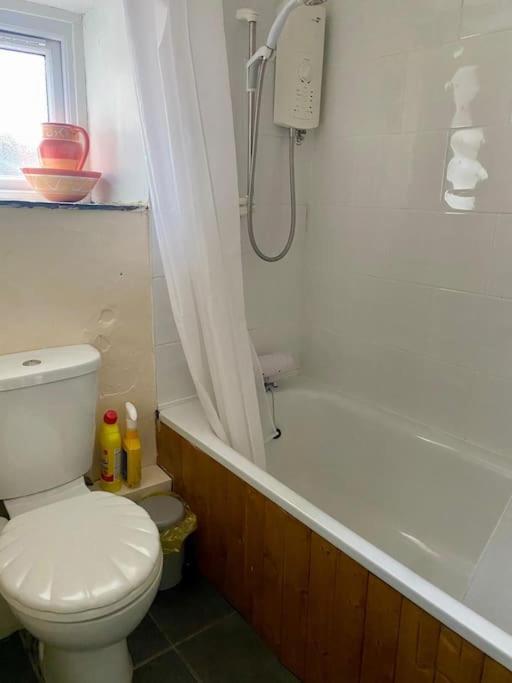 Snowdrop Stone Detached Cottage Talysarn المظهر الخارجي الصورة
